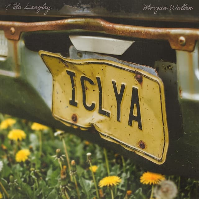 I Can't Love You Anymore